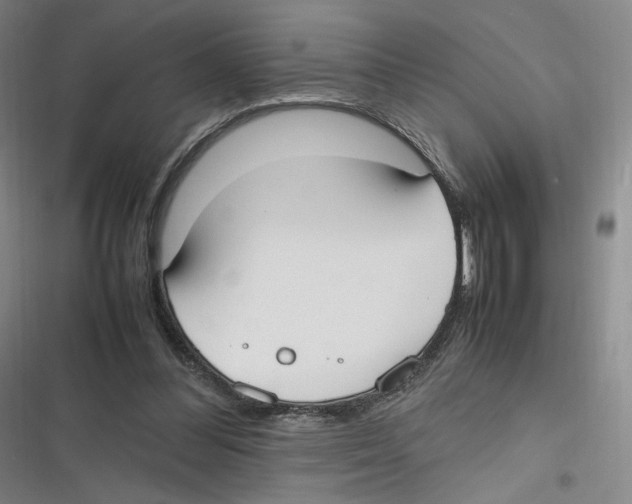 X0000116620300201001081237