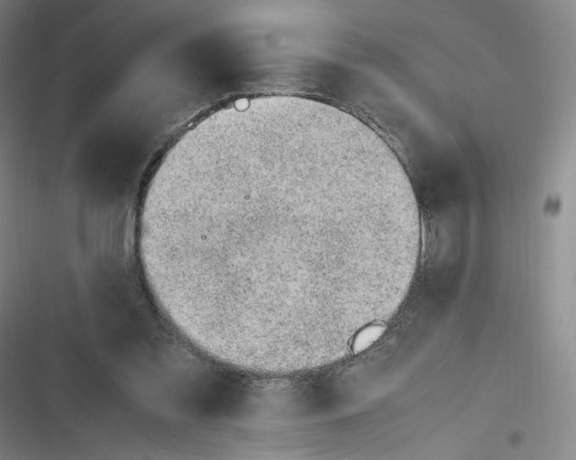 X0000116620301201001081237