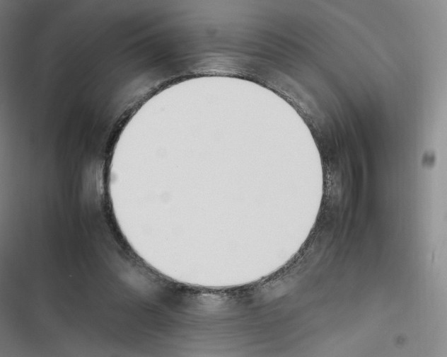 X0000116620302201001081237