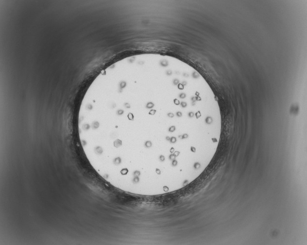 X0000116620303201001081237