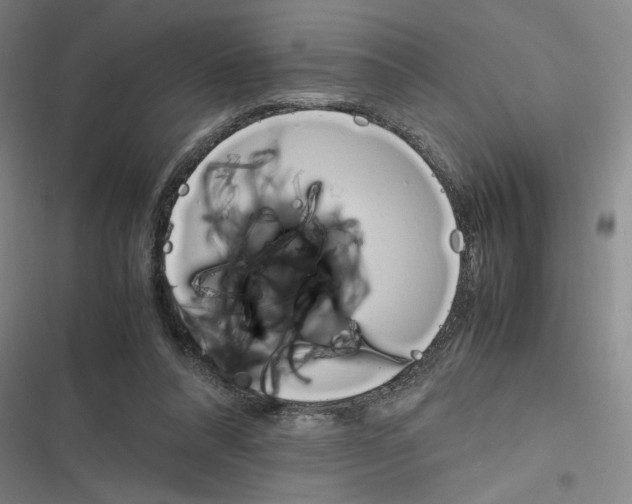 X0000116620304201001081237