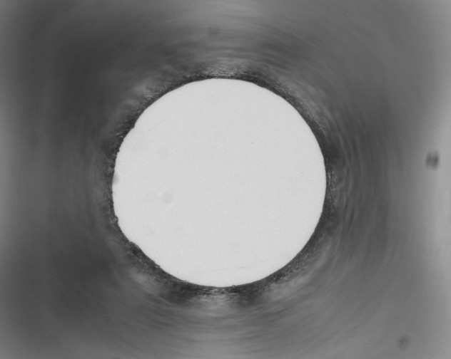 X0000116620307201001081237