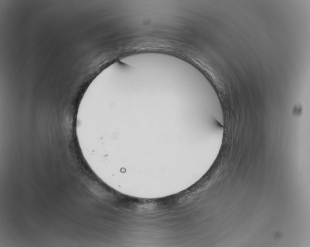 X0000116620309201001081237