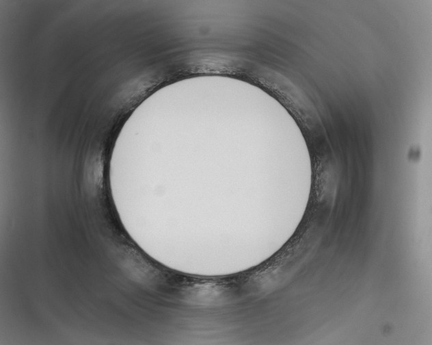 X0000116620310201001081237