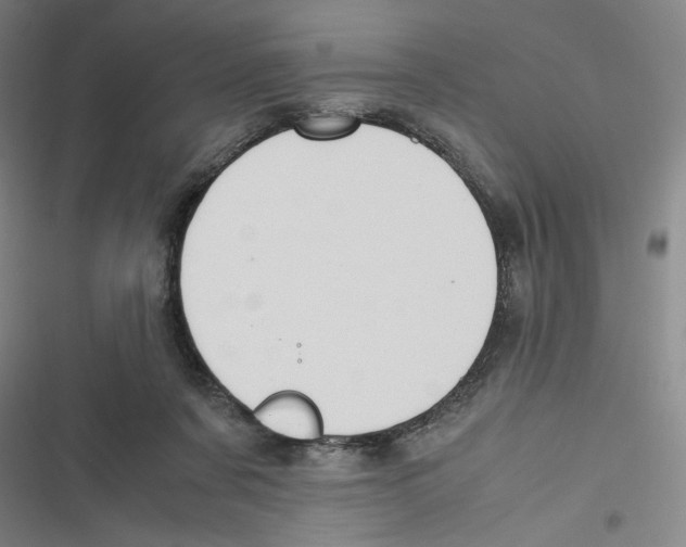 X0000116620311201001081237