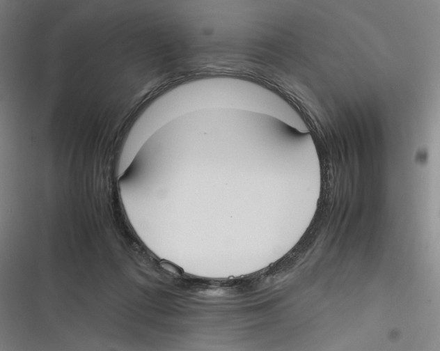 X0000116620312201001081237