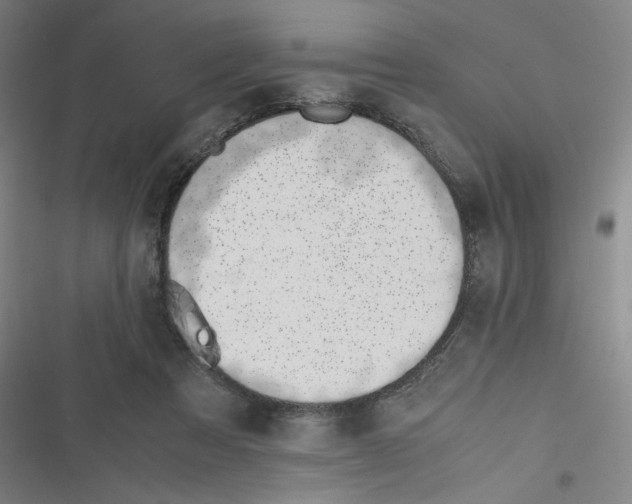 X0000116620313201001081237