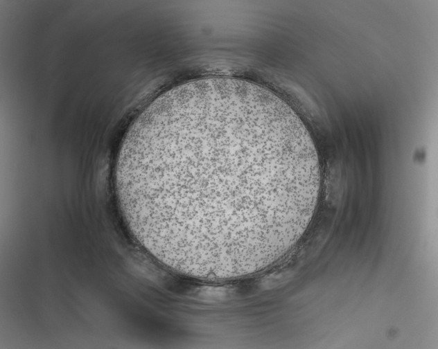 X0000116620314201001081237