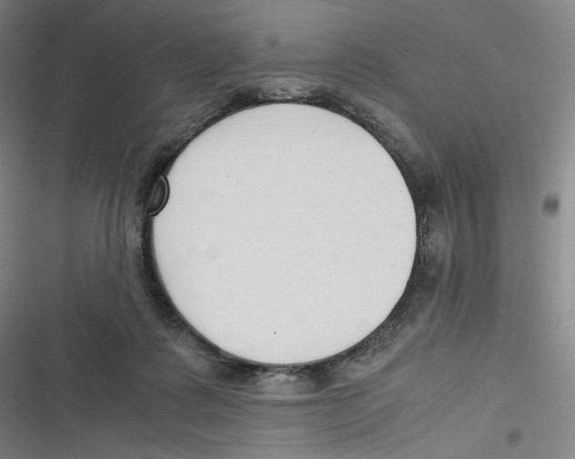 X0000116620315201001081237