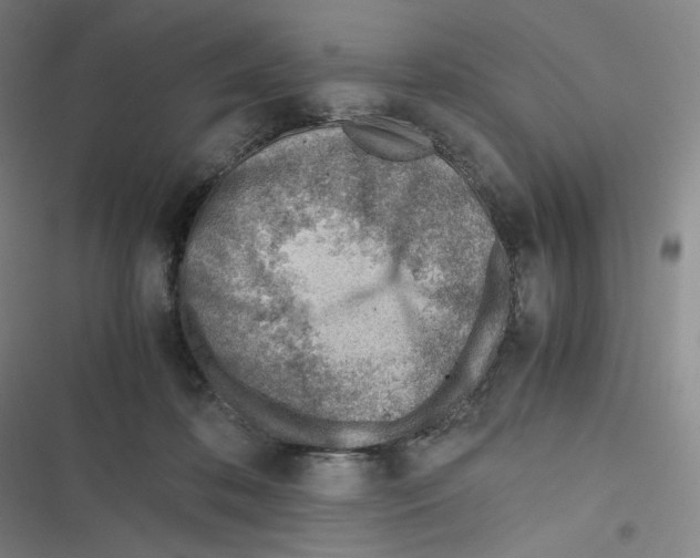 X0000116620316201001081237