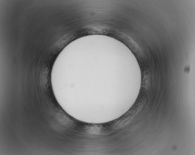 X0000116620318201001081237