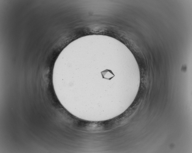 X0000116620319201001081237