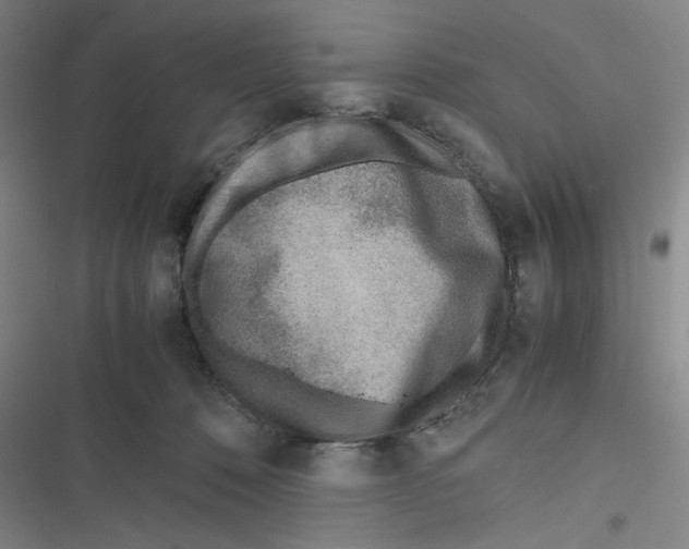 X0000116620320201001081237