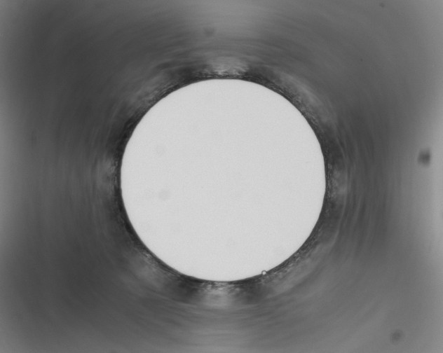 X0000116620321201001081237