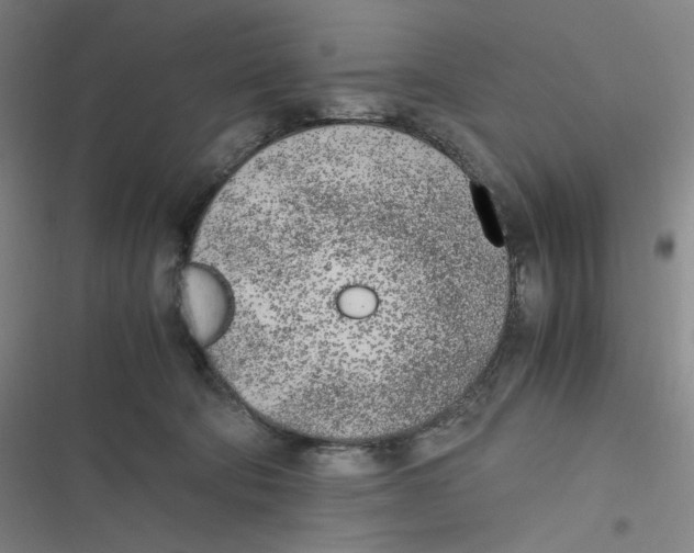 X0000116620322201001081237