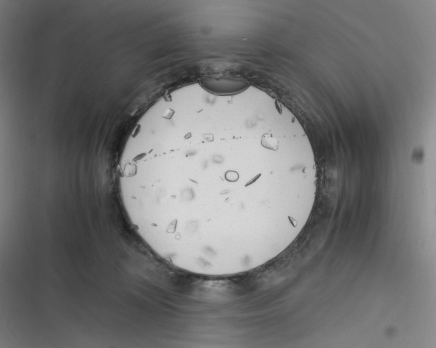 X0000116620324201001081237