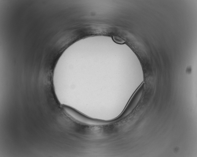 X0000116620325201001081237