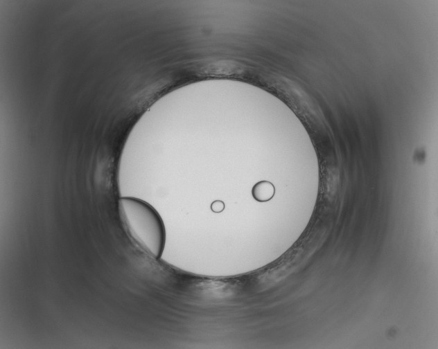 X0000116620326201001081237