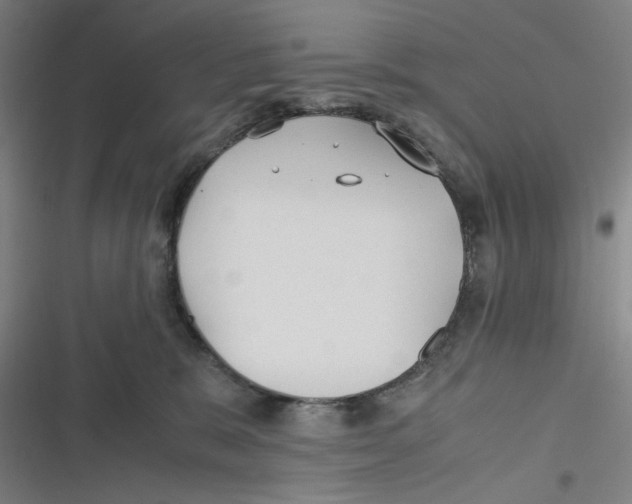 X0000116620327201001081237