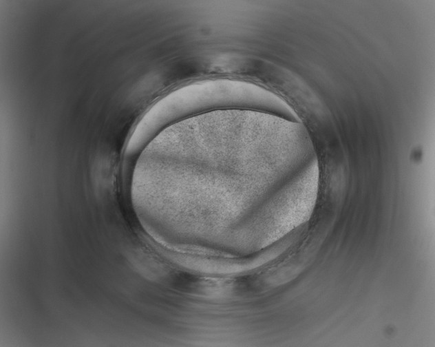 X0000116620328201001081237