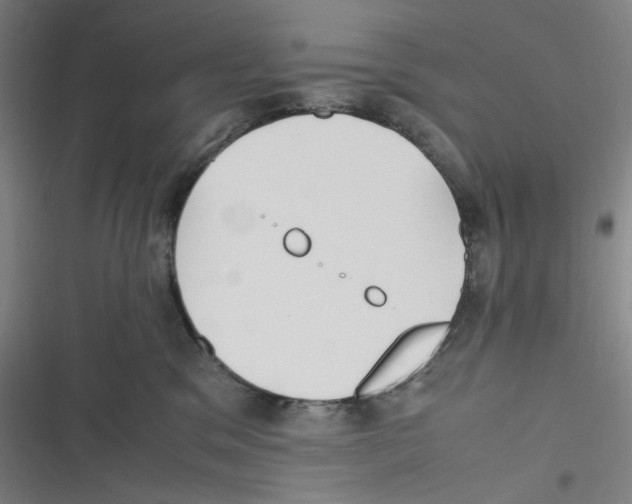 X0000116620329201001081237