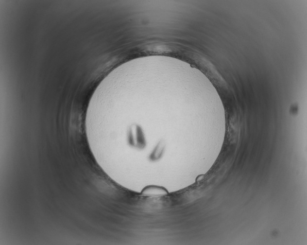 X0000116620330201001081237