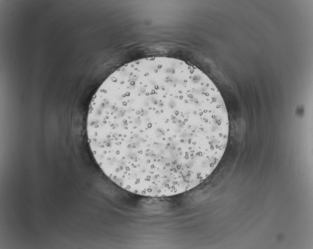 X0000116620331201001081237