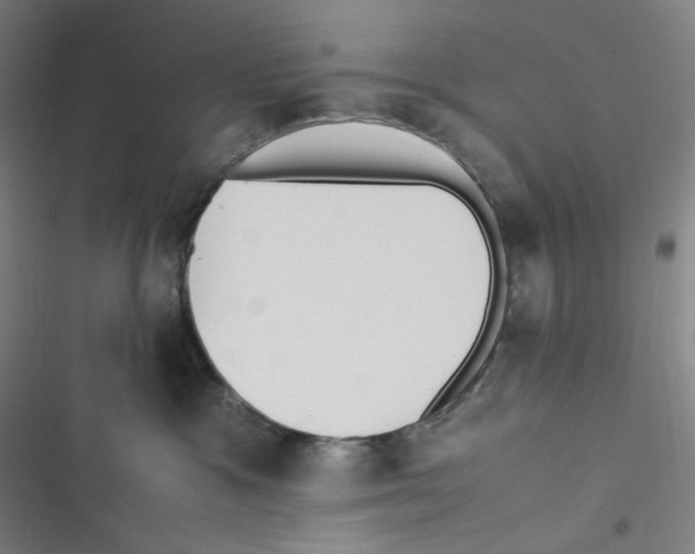 X0000116620333201001081237