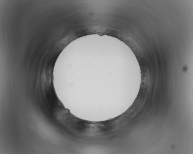 X0000116620334201001081237