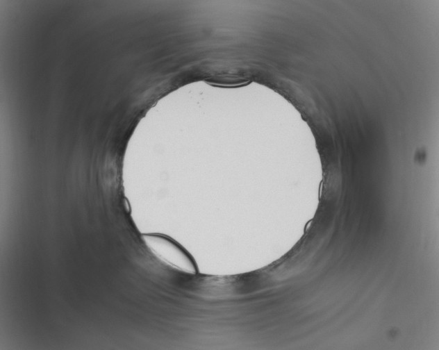 X0000116620335201001081237