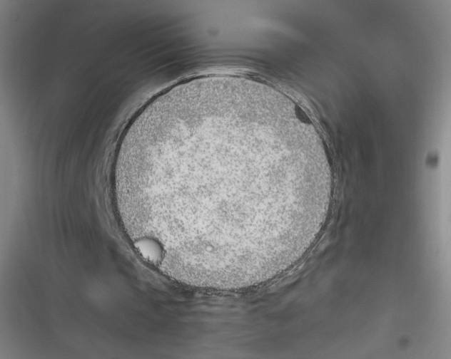 X0000116620337201001081236