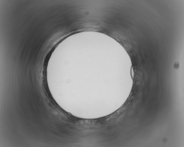 X0000116620338201001081236