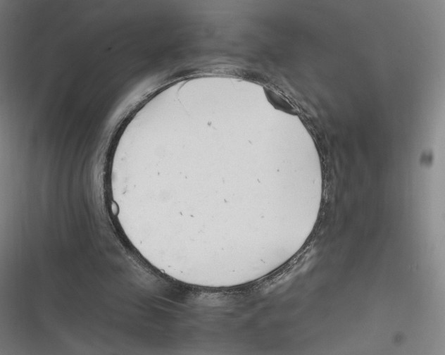 X0000116620341201001081236