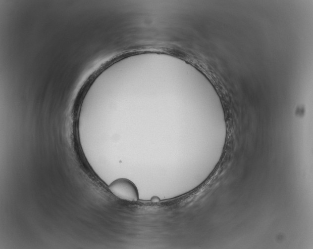 X0000116620342201001081236