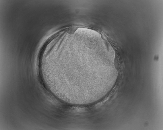 X0000116620343201001081236