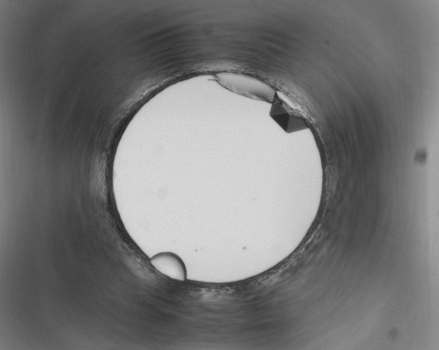 X0000116620345201001081236