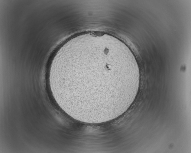 X0000116620346201001081236