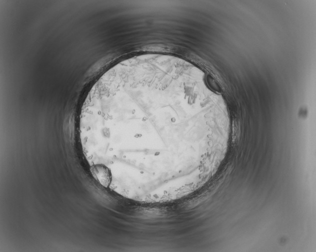 X0000116620349201001081236