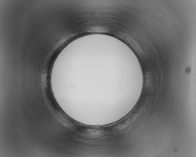 X0000116620351201001081236