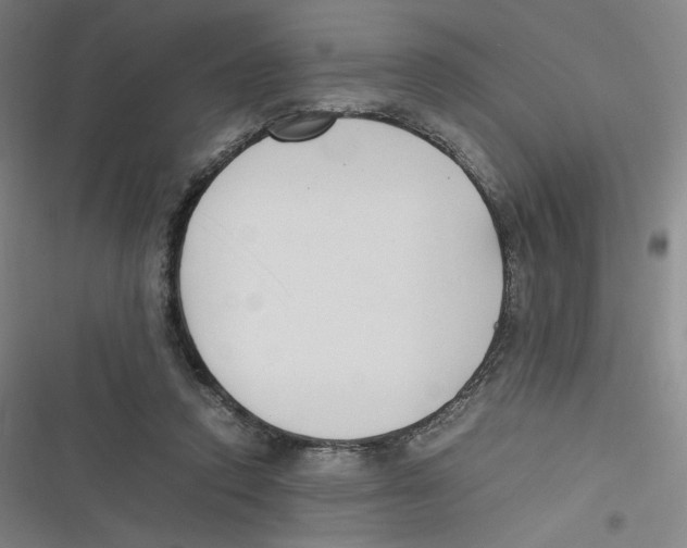 X0000116620354201001081236