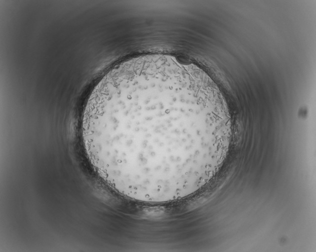 X0000116620355201001081236