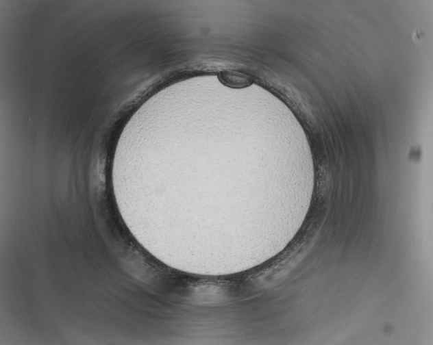 X0000116620358201001081236