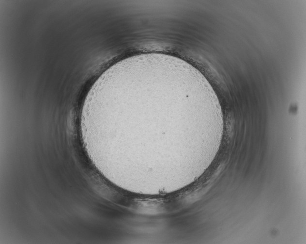 X0000116620359201001081236