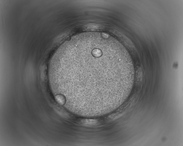 X0000116620361201001081236