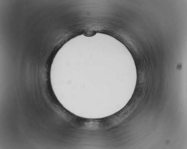 X0000116620362201001081236