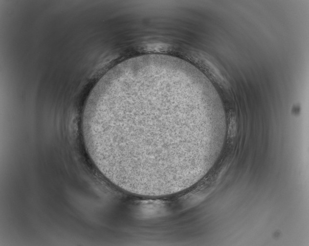 X0000116620363201001081236