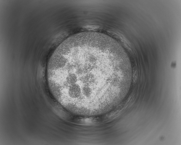 X0000116620365201001081236