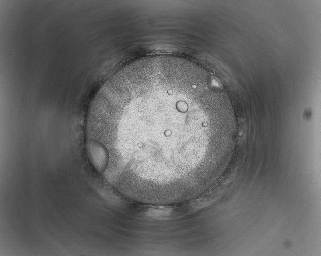 X0000116620369201001081236