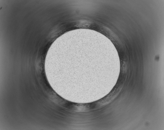 X0000116620370201001081236