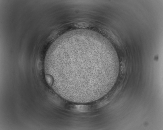 X0000116620371201001081236